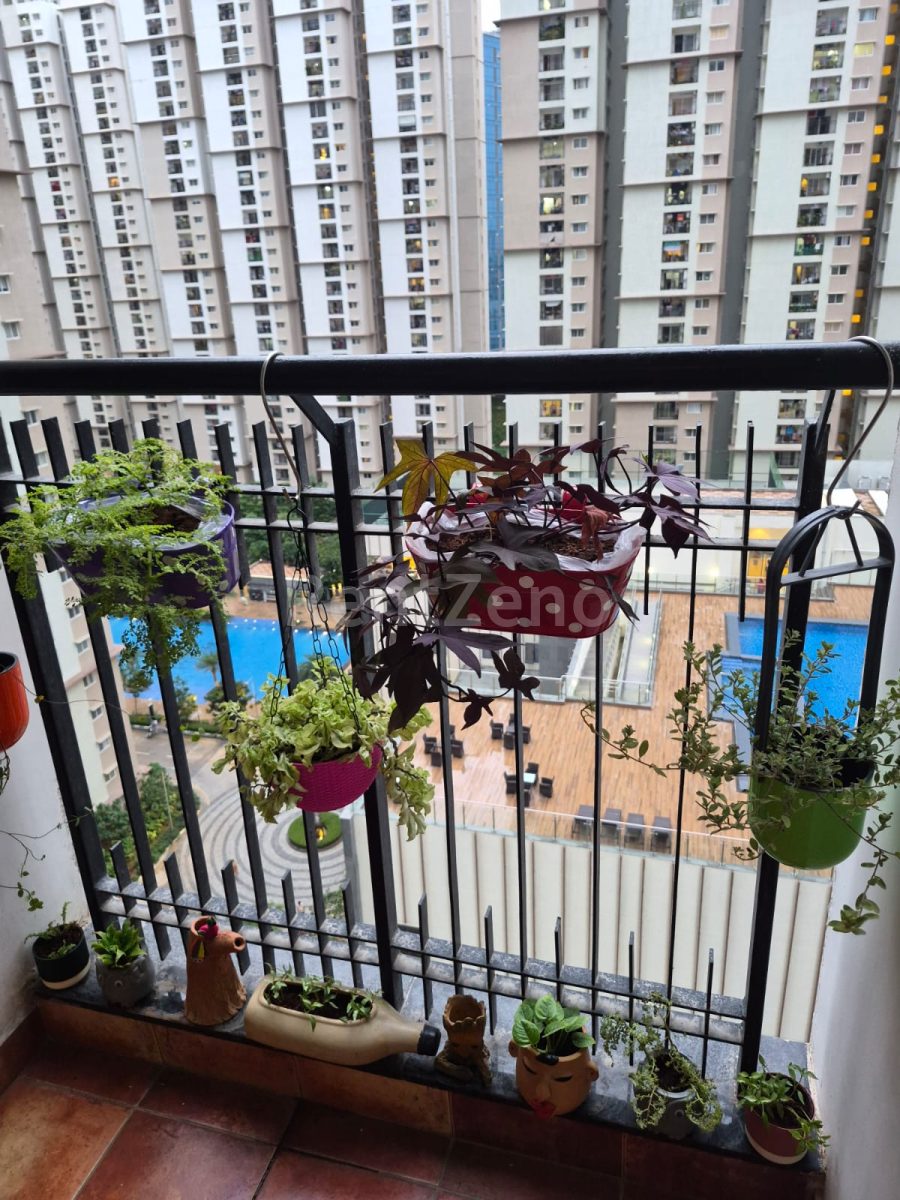 1 Room in Shared 2BHK — photo 6 of 11