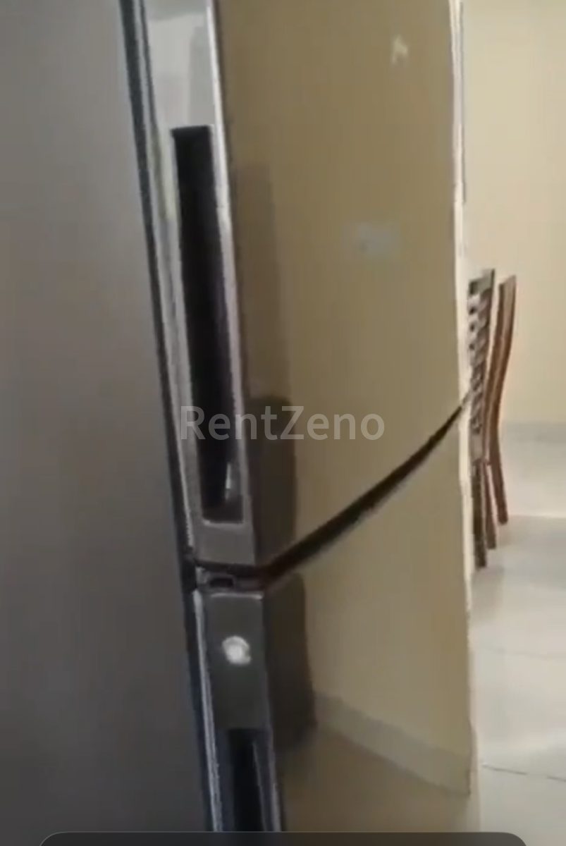 3BHK fully furnished immediately available — photo 14 of 20